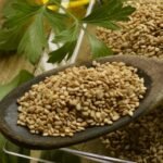 Sesame( Per Unit Trade )