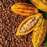 Cocoa Beans ( Per Unit Trade )