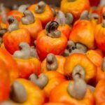 Cashew nut ( Per Unit Trade )