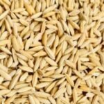 Paddy Rice ( Per Unit Trade )
