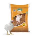 Poultry Feeds- Starter Mash